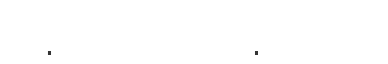 The.SHINY.Media